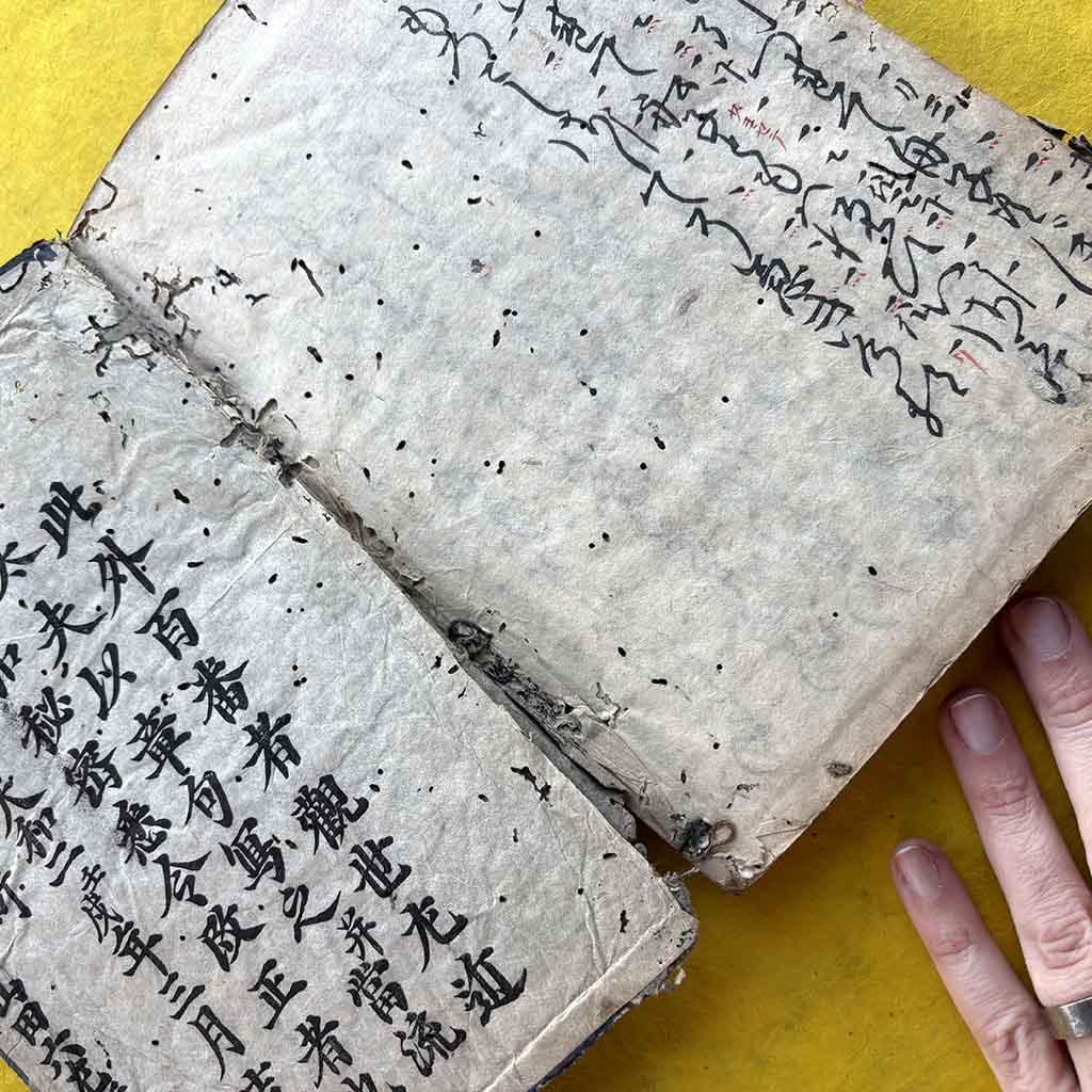 inside pages from a 19th century Japanese poetry manuscript