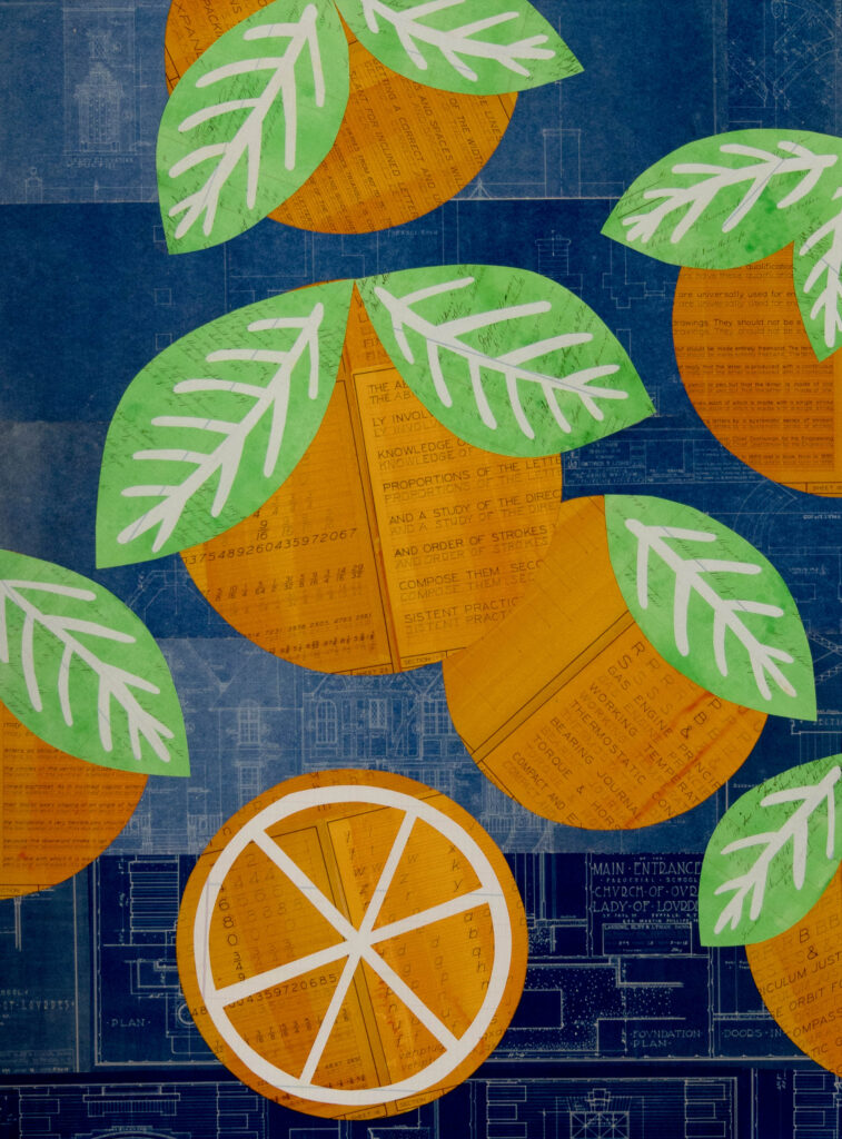 Oranges No 6 by Emily Krill