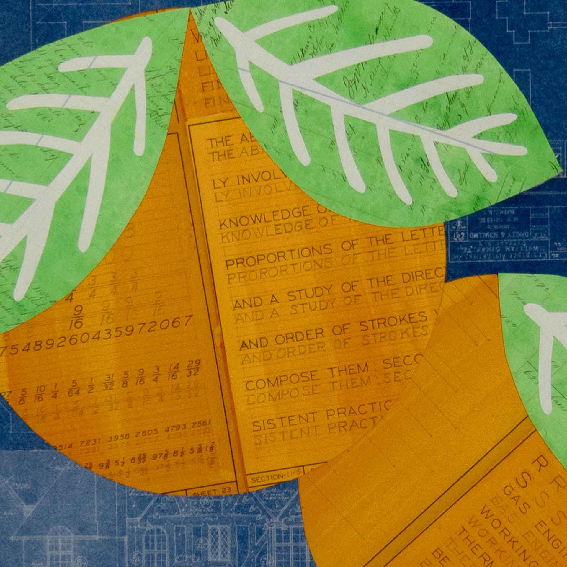 a detail of Oranges No. 6 by Emily Krill