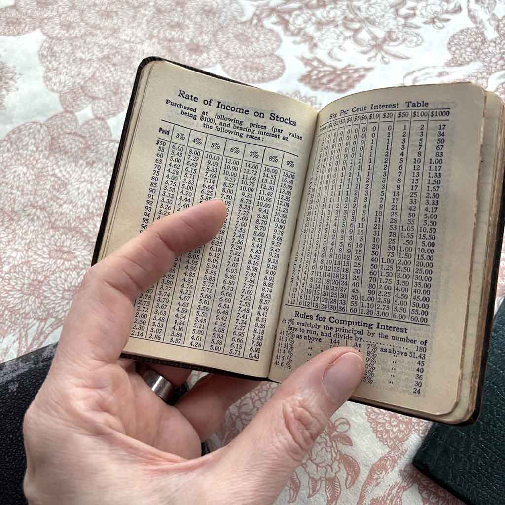 a hand holds a pocket-sized book